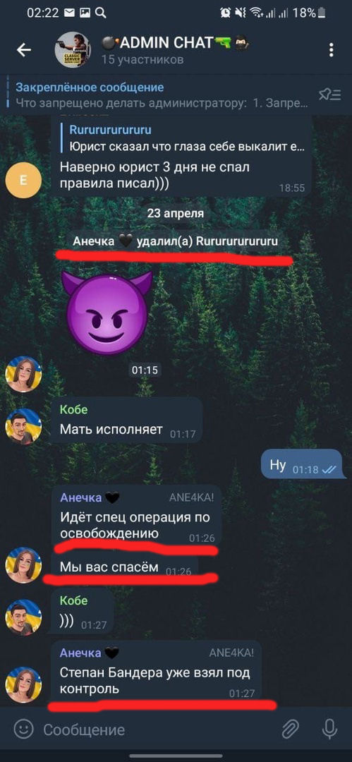 Прикрепленное изображение